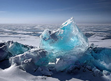 178足球在线观看免费-塞尔维亚教头担任猛龙新帅 纳什无缘重出江湖